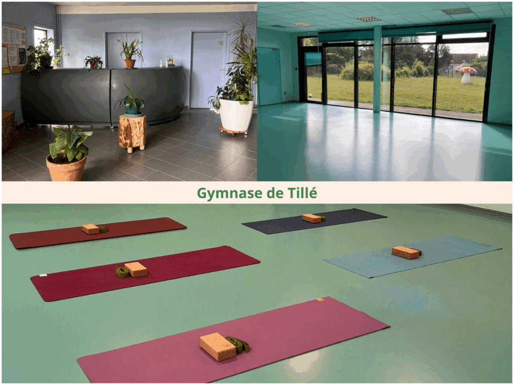 Salle Gymnase de Tillé